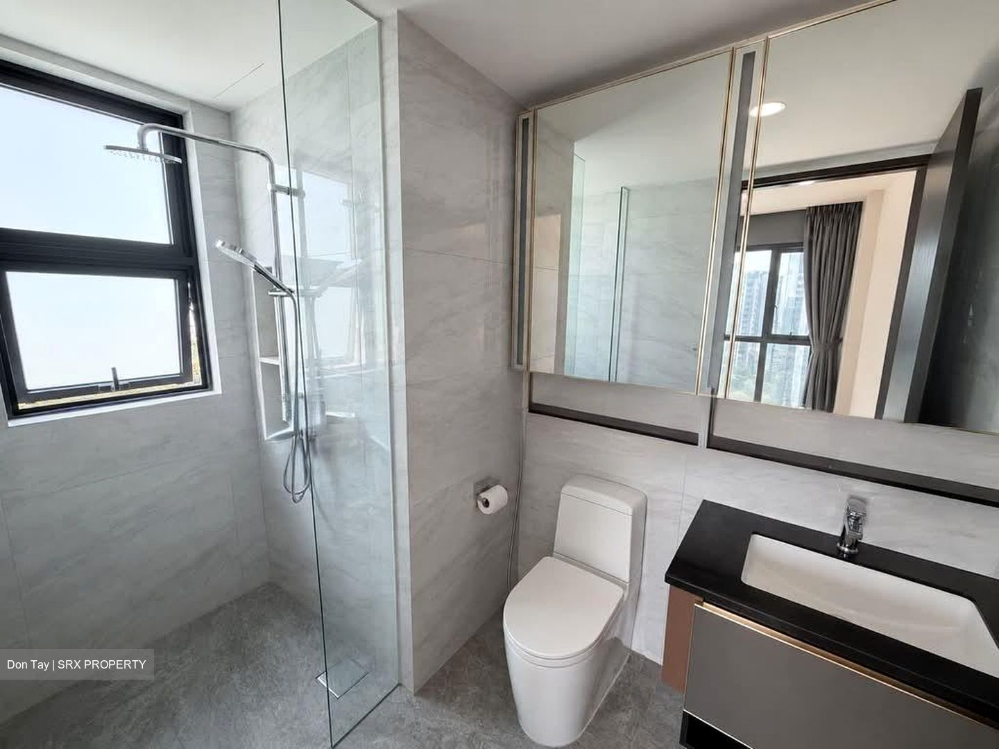 Normanton Park (D5), Apartment #595728181